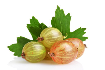fresh gooseberries and leaves isolated on white