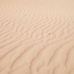 sand surface