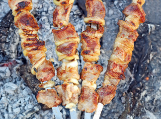 shish kebab on skewers and hot coals