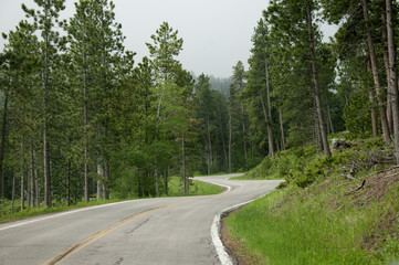 Fototapeta na wymiar Road in the Black hills of Dakota in the USA