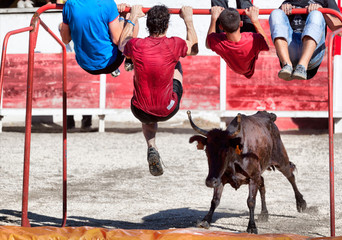 Course camarguaise