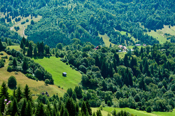 Obraz premium Idyllic view of a green valley in rural Romania