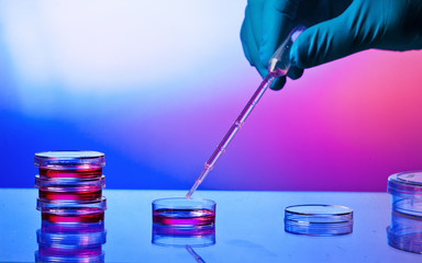 Petri dish