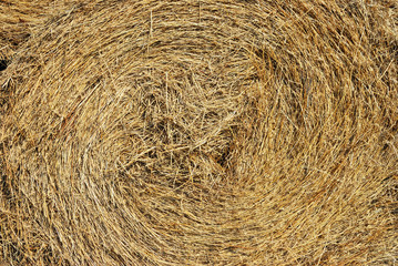 Haystack