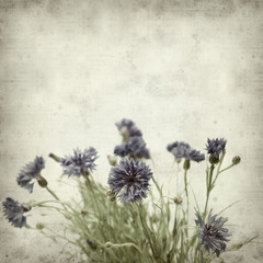 textured old paper background with cornflowers