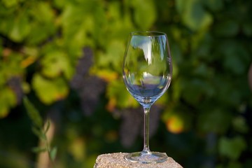 Wein