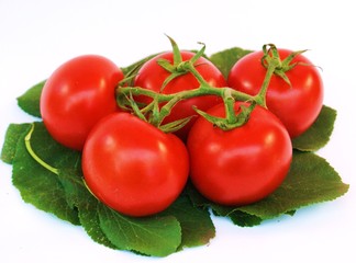 Tomaten