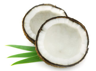 Coconut with leaves