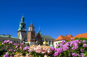 Wawel - Krakau - Polen - obrazy, fototapety, plakaty