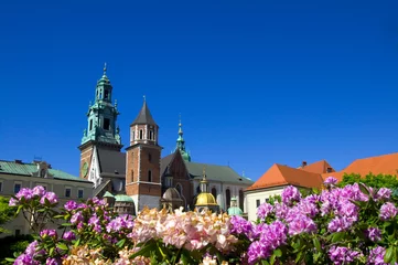 Zelfklevend Fotobehang Krakau Wawel - Krakau - Polen