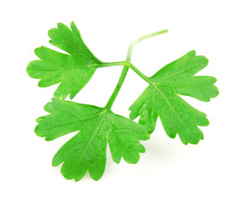 Fresh parsley