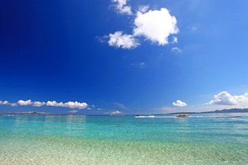 Fototapeta na wymiar 水納島の透き通る海