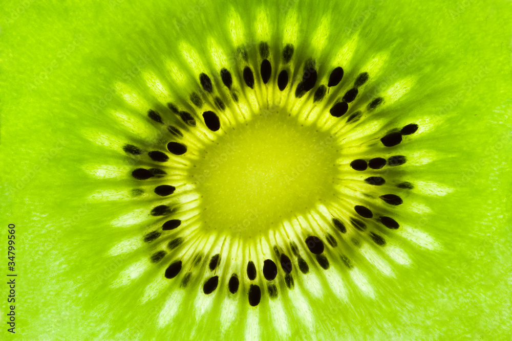 Poster kiwi slice