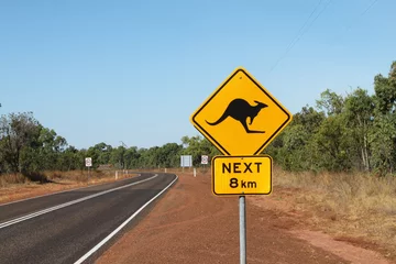 Zelfklevend Fotobehang kangourou © Julien Leblay
