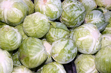 Fototapeta na wymiar Green cabbages on display at the farmer's market