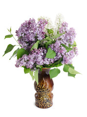 Beautiful lilac isolated on white background