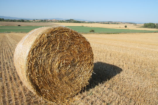 Fardo de paja en el campo