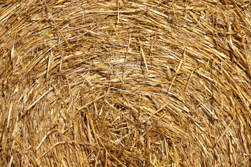 Primer plano fardo de paja