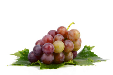 Grape