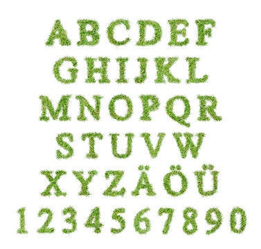 Alphabet with green grass letter