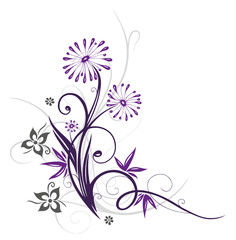 Ranke, flora, Blumen, Blüten, filigran, violett, grau