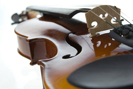 Violin