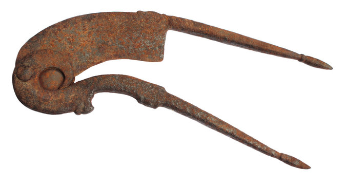 Rusty betel nut cutter