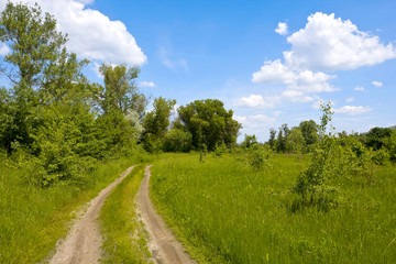 Rural road in steppe