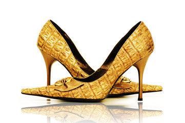 Woman shoes isolated on the white background