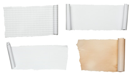 white crumpled curled scroll note paper