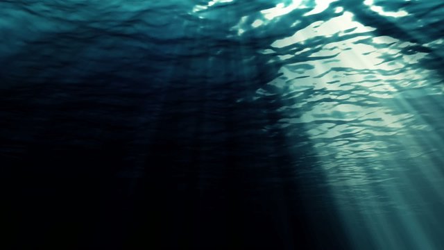 Serene Underwater Scene