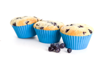 blueberry muffins