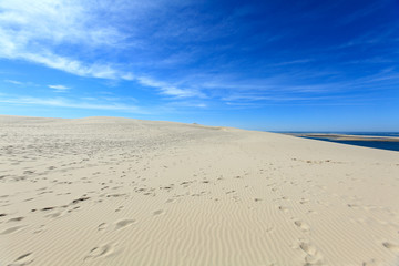 Fototapeta na wymiar View from the highest dune in Europe - Dune of Pyla (Pilat)