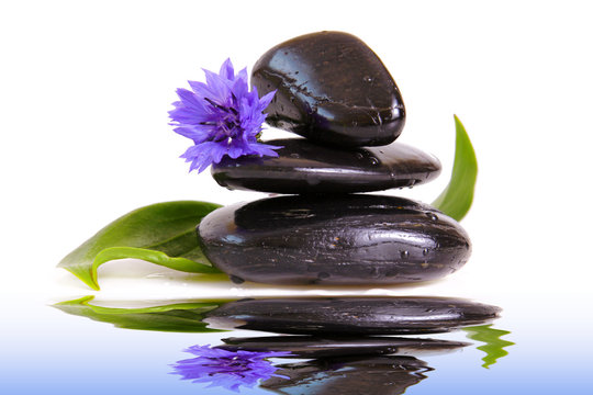 Wellness,Massage
