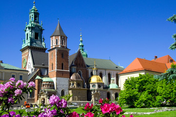Fototapeta premium Wawel - Krakau - Polen
