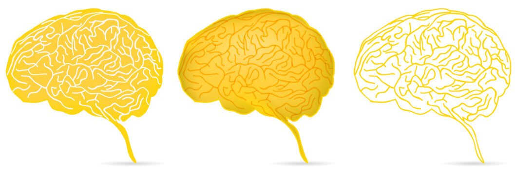 Yellow Brain Images – Browse 37,466 Stock Photos, Vectors, and