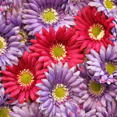 Fototapeta premium beautiful fake flowers background