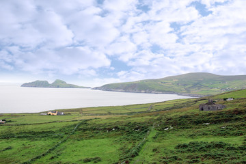 Fototapeta na wymiar green irish fields and islands view