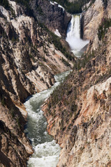 Fototapeta na wymiar Lower Yellowstone River Falls in Wyoming USA