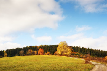 Road and meadows light version