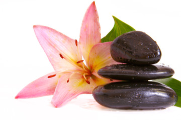 Steine,Lilium © Swetlana Wall