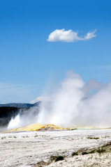 Geyser in Yellowstone National Park Wyoming USA