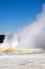 Geyser in Yellowstone National Park Wyoming USA