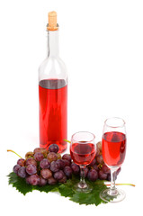 Fototapeta premium Wine
