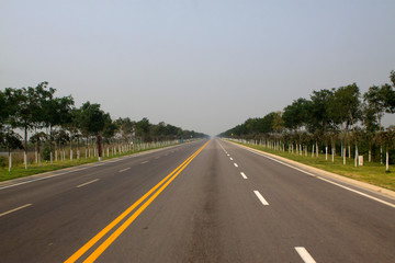 Fototapeta premium road and trees