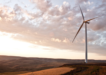 Wind mill farm