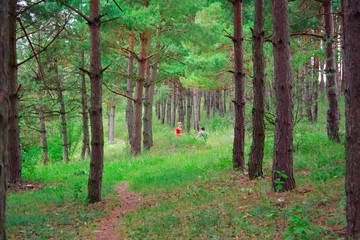 Family in the green woods for a walk