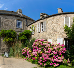 Fototapeta na wymiar Maison hortensias