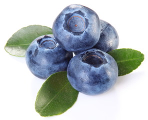 Blueberries with leaves
