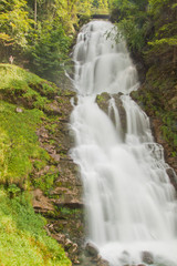 Fototapeta na wymiar Waterfall in green nature